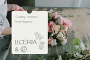 Zorckas – Sans Serif Font, a Sans Serif Font by NDNL Studio (Thumbnail 3 of 12)