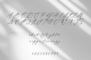 Aria Script, a Handwritten Font by Creative Foundry (Thumbnail 7 of 8)