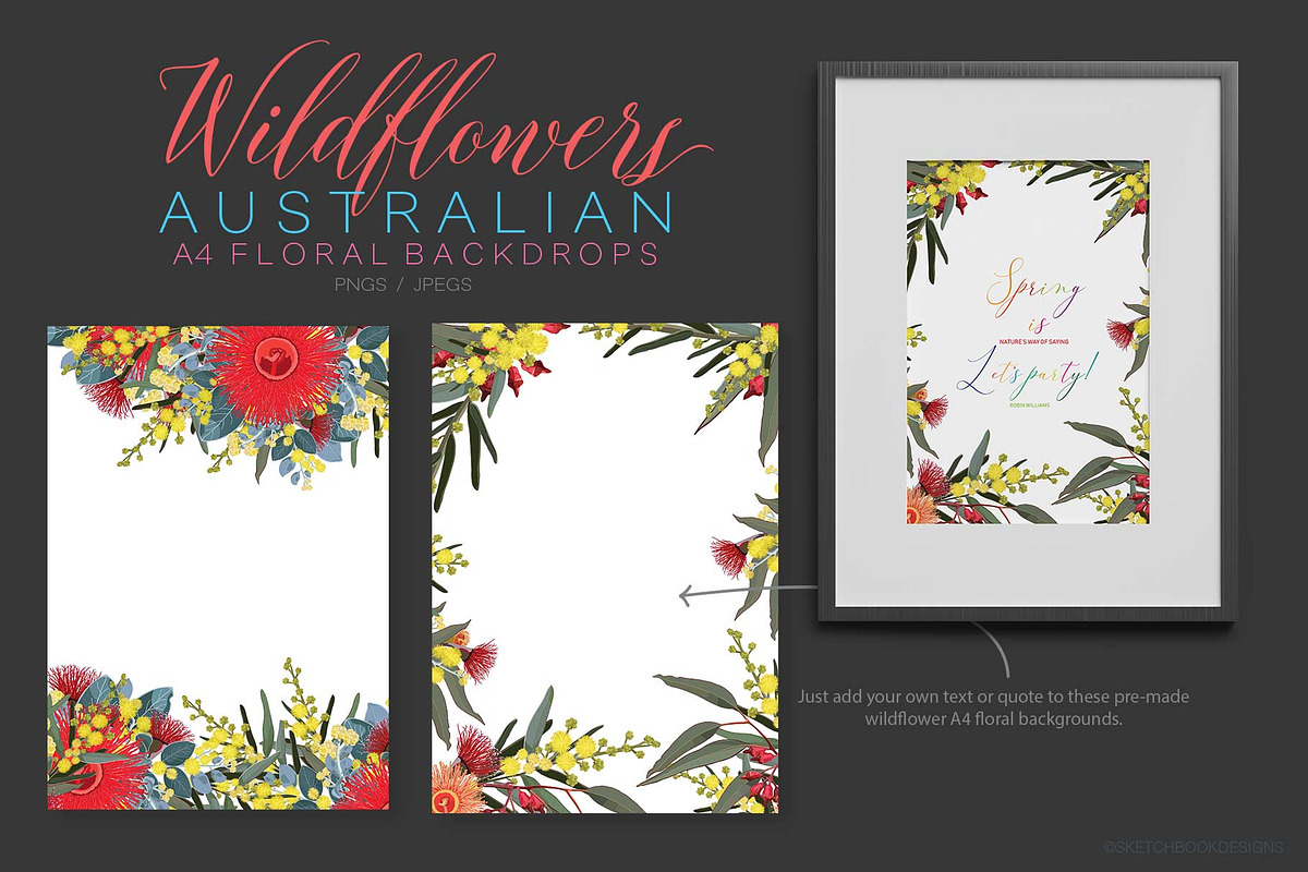Wildflowers Australian Design Set, an Illustration by Sketchbook Designs (Photo 10 of 11)