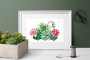 Succulents Botanical Watercolor, a Background Graphic by Hanna Hryharenka (Thumbnail 8 of 15)