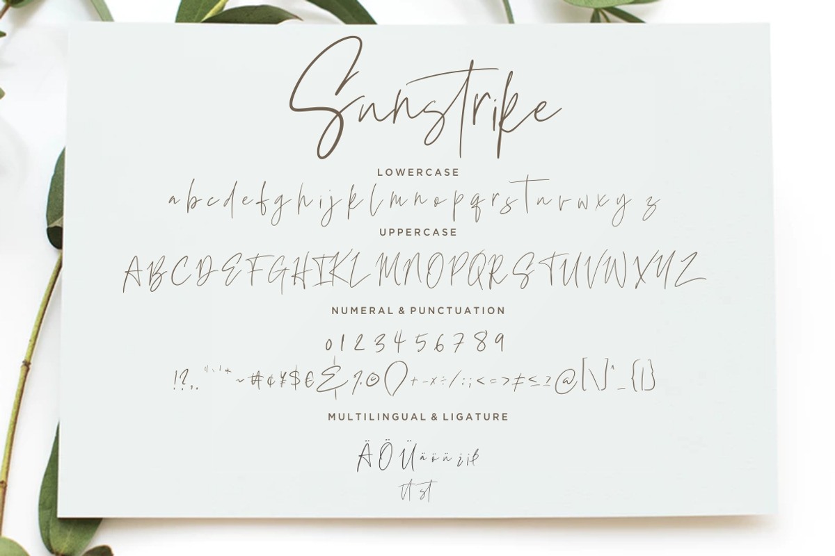 Suntrike Signature Business Font preview 4