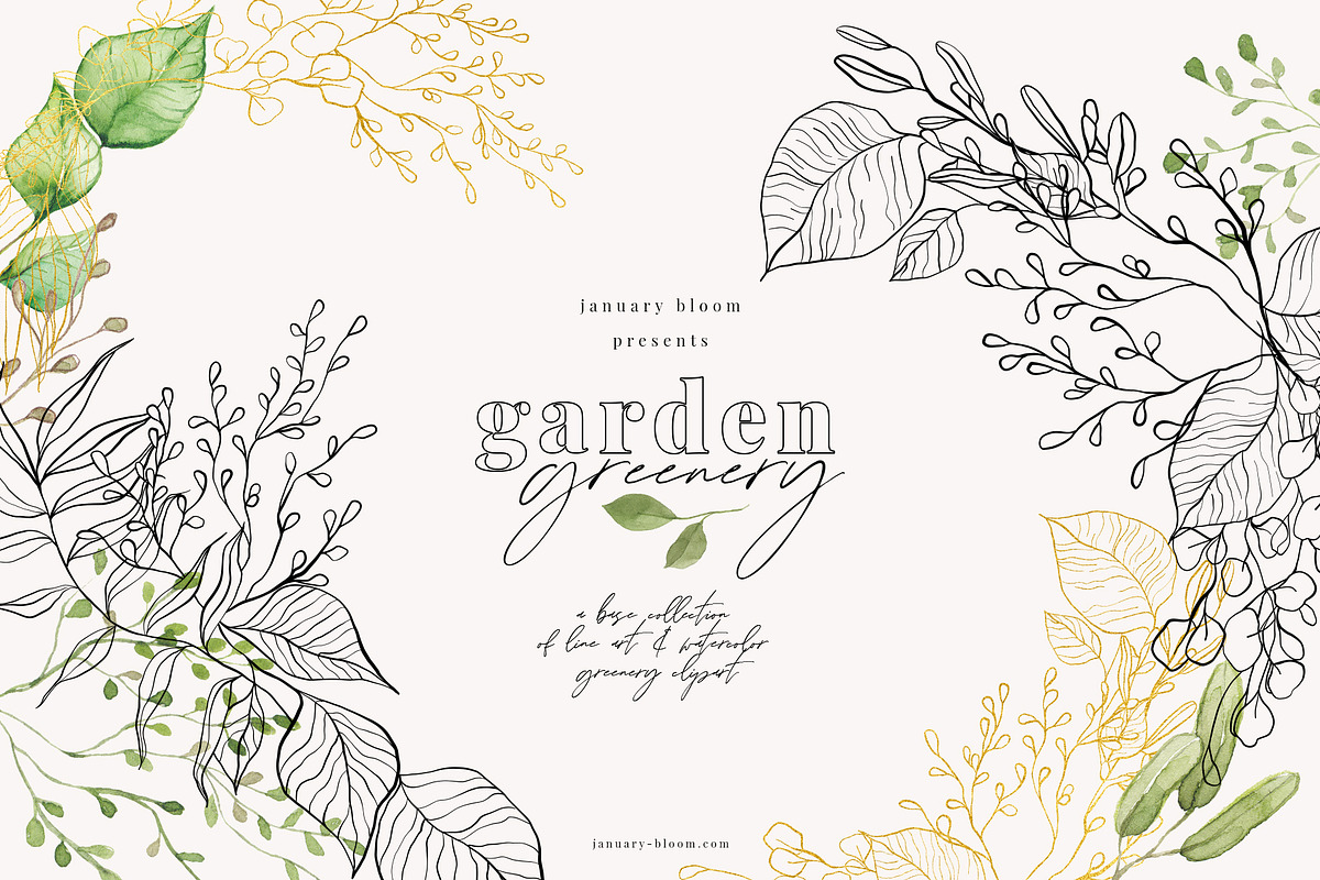 Line Art & Watercolour Greenery, an Illustration by January Bloom (Photo 22 of 22)