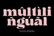 Siency Display, a Serif Font by InkwellTypeCo (Thumbnail 7 of 11)
