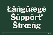 Frankly TM – Rugged Misprint Font, a Sans Serif Font by Type Mania (Thumbnail 10 of 11)
