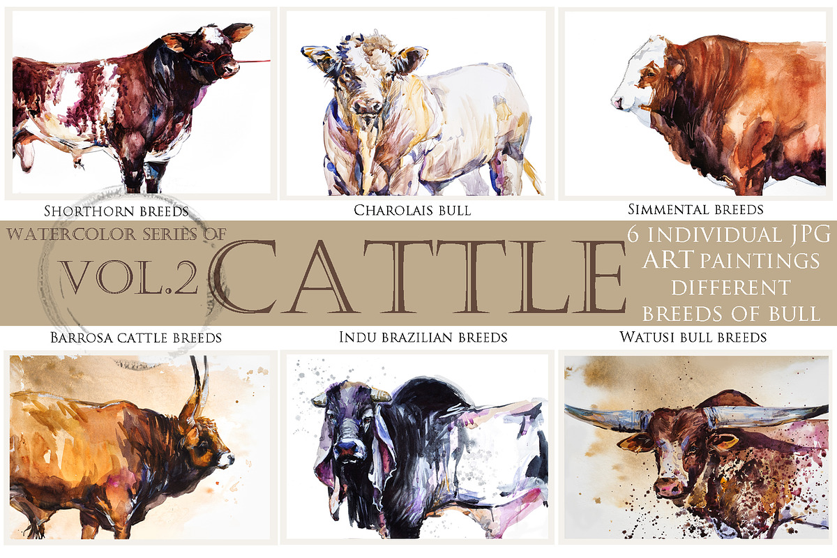 Exotic Bull Breeds | CATTLE Vol. 2, an Object Graphic by FineArt (Photo 1 of 7)