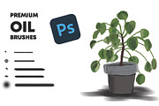 Premium Oil Brush In Photoshop Pack, a Brush Add-On by Design Unique (Thumbnail 1 of 7)