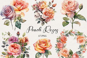 Peach Roses Watercolor Clipart. AI