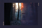 Red Aurora Artistic Lightroom Preset, an Action Add-On by Mark Borbely (Thumbnail 12 of 14)