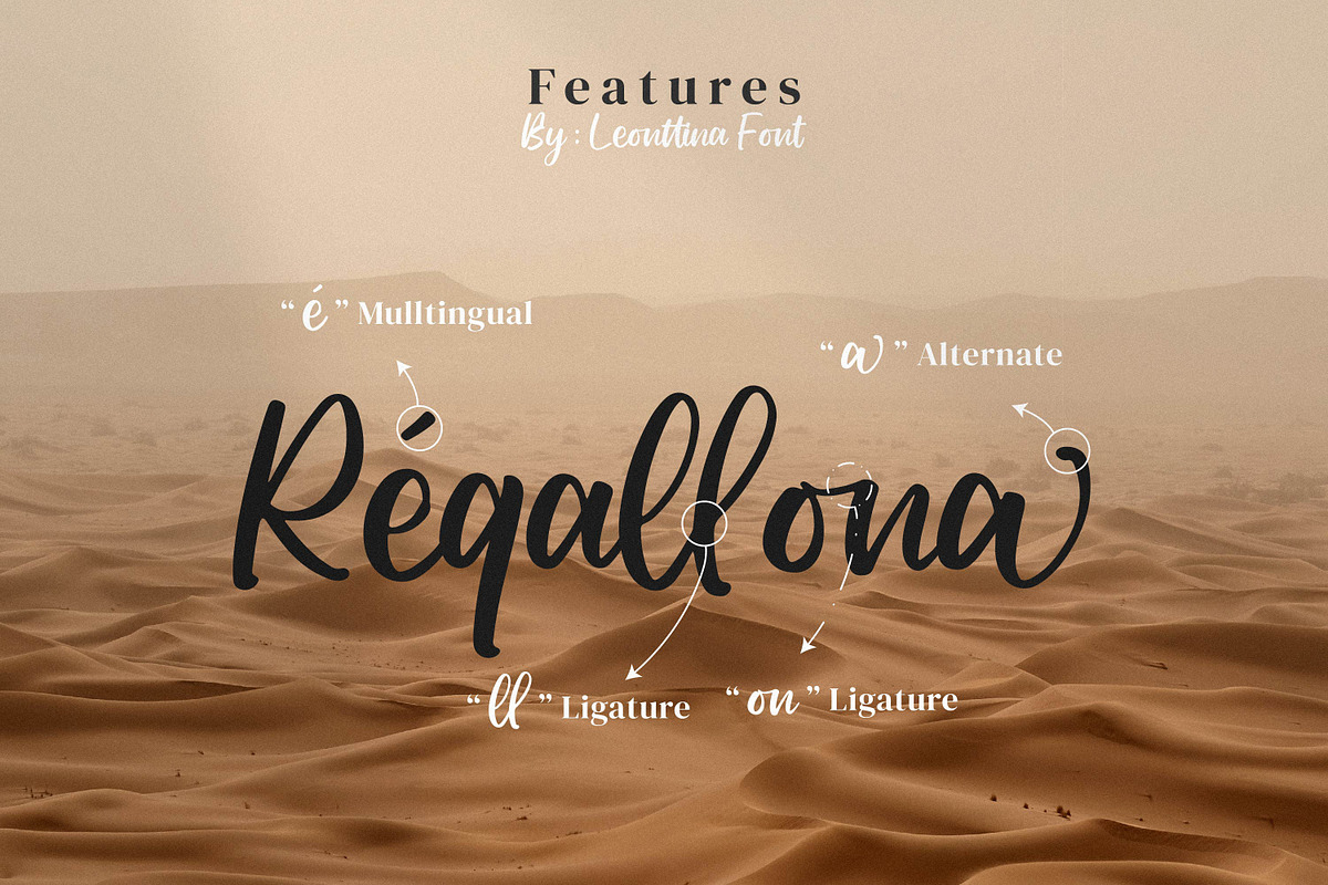Leonttina, a Script Font by Integritype Studio (Photo 14 of 15)