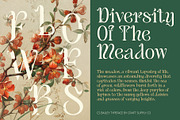 CS Bailey – Art Nouveau Font, a Serif Font by Craft Supply Co. (Thumbnail 7 of 8)