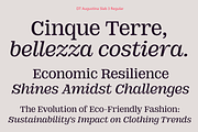 DT Augustina Slab 3 Subfamily, a Slab Serif Font by Deveze Type Foundry (Thumbnail 7 of 31)