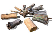 13 Tree Logs, an Environmental 3D Model by Beatheart Creative Studio (Thumbnail 15 of 37)