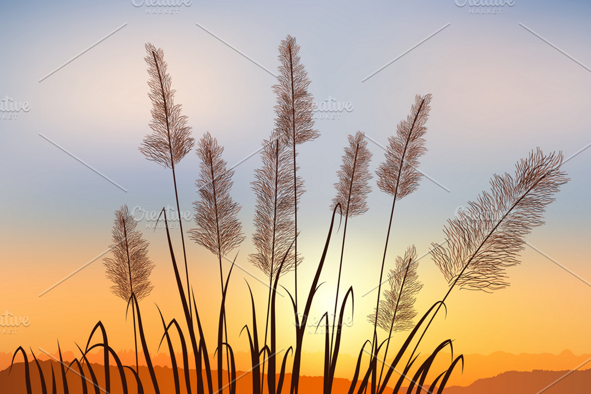 Reeds and rushes with distant rocks., a Background Graphic by Ederella