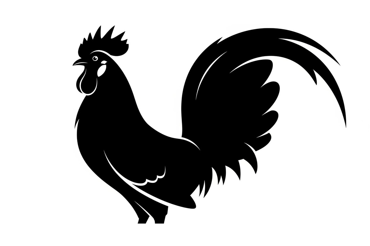 Rooster Chicken Silhouette Vector Bu, an Illustration by Designs_River (Photo 42 of 51)