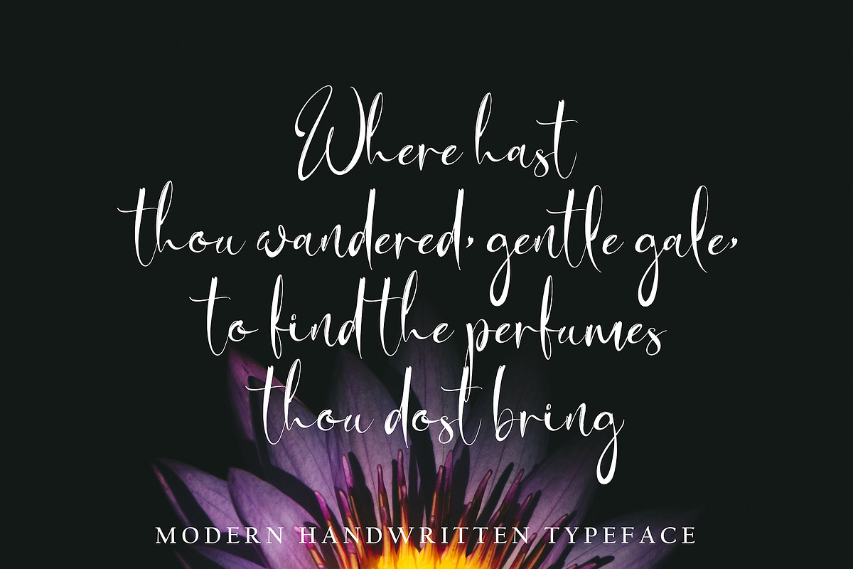 Bird Ruth, a Handwritten Font by pineungtype (Photo 2 of 6)