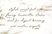 Checkbold, a Script Font by Muwatta Studio (Thumbnail 4 of 15)