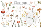 Woodland Animals Watercolor Clipart, an Illustration by Alisles (Thumbnail 5 of 18)