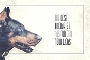 Kalpazan font family -50%, a Sans Serif Font by VP Fonts (Thumbnail 4 of 13)