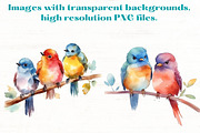 Cute Song Birds Watercolor Clipart, an Animal Illustration by Mermaids Cove (Thumbnail 2 of 9)