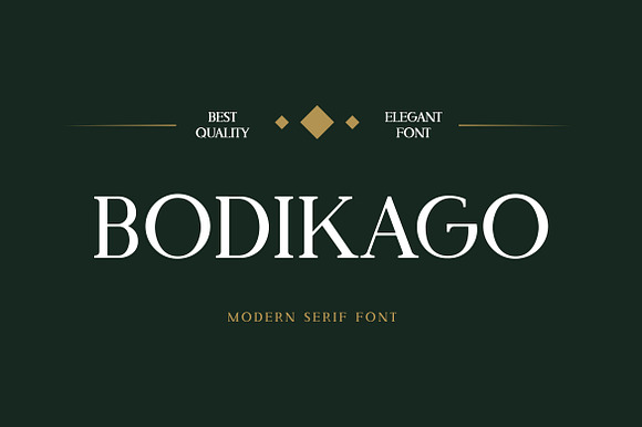 Bodikago Luxury Serif Font preview 7