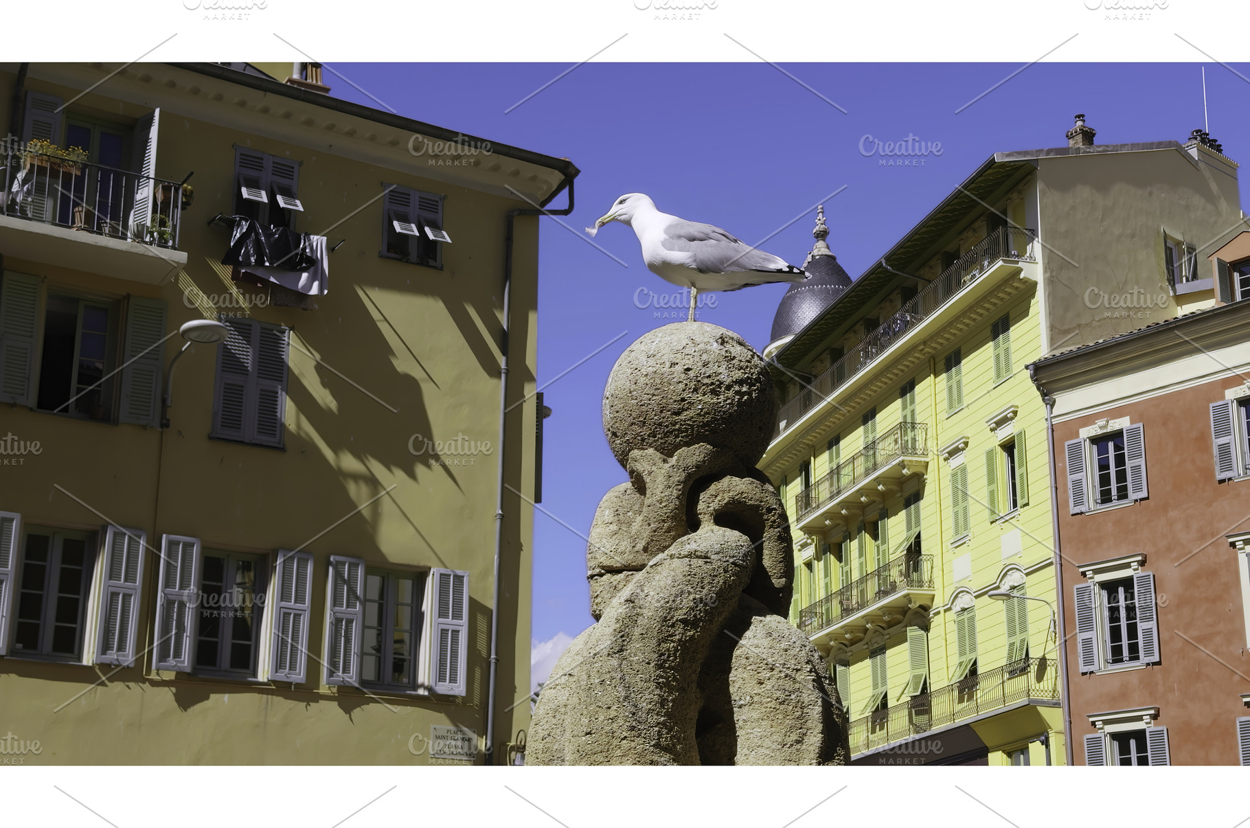 Seagull perched on a stone sphere in, an Architecture Photo by Media Whale Stock