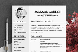 Professional RESUME TEMPLATE / JG