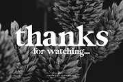 EDEN - MODERN DISPLAY SERIF FONT, a Serif Font by BURSTYPE (Thumbnail 8 of 8)