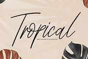 Tropical | Script Font, a Script Font by Scratchones (Thumbnail 1 of 8)