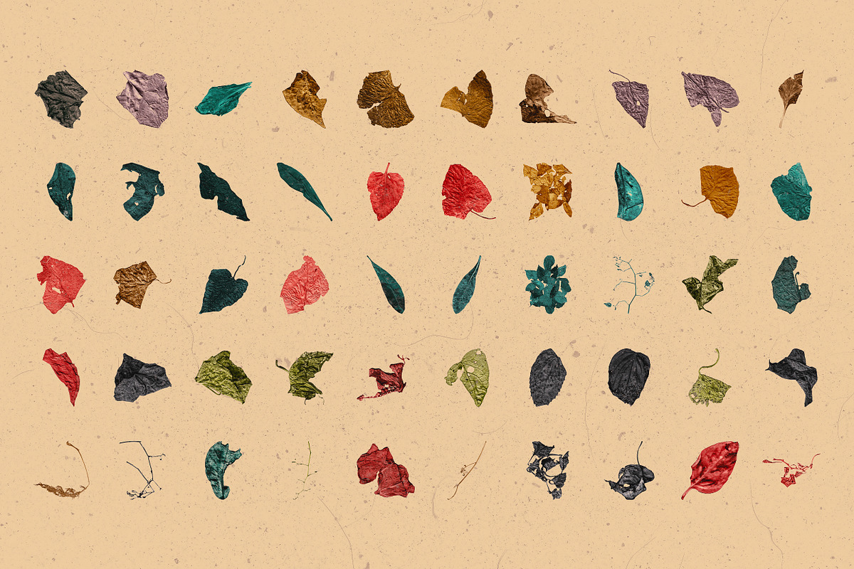 Broken Leaves 200 Transparent Object, an Object Graphic by nicholasasmita (Photo 6 of 15)
