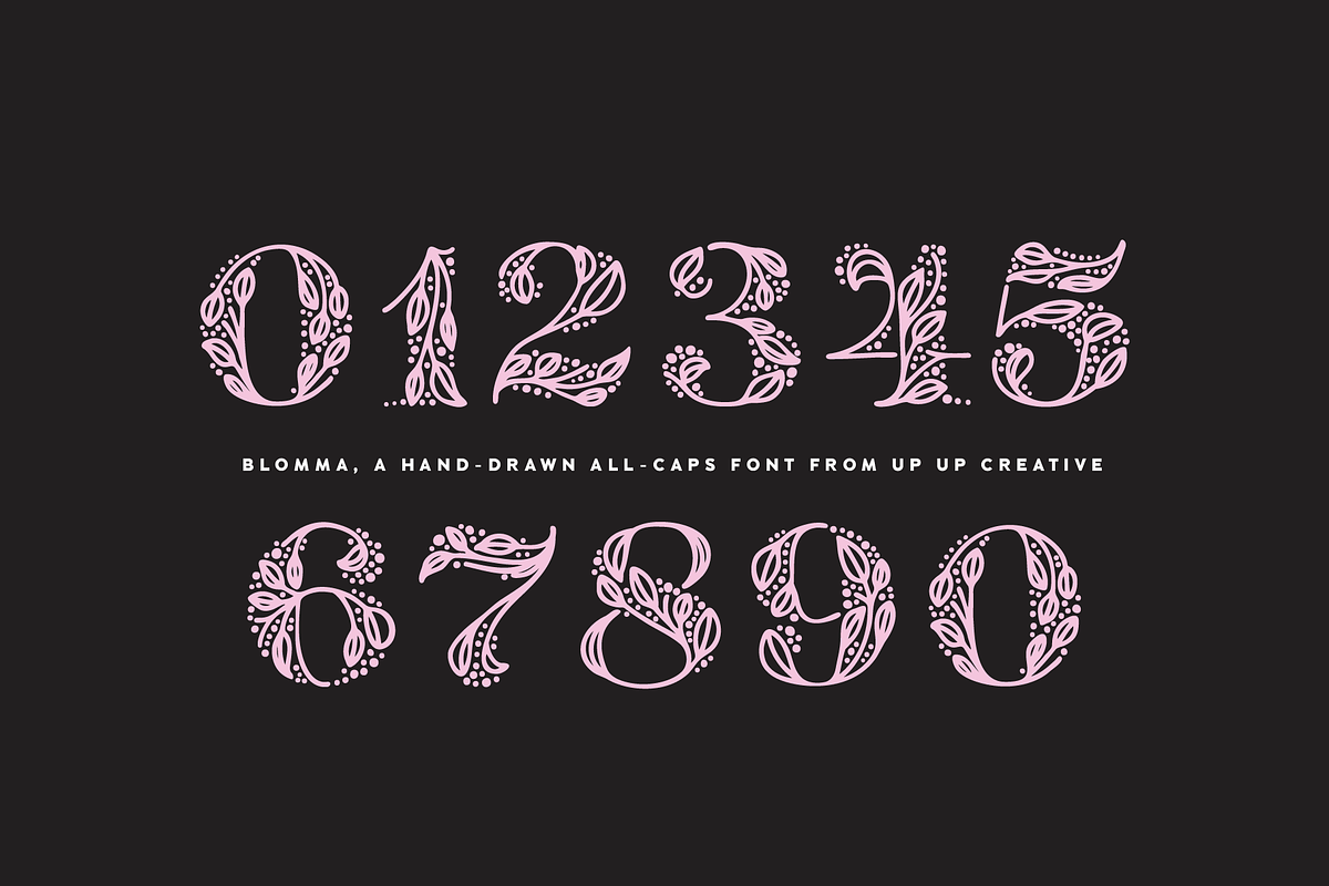 Blomma Hand-Drawn Display Font, a Serif Font by Up Up Creative (Photo 9 of 12)
