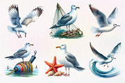 Watercolor Seagulls Clipart, an Illustration by Dream Creation (Thumbnail 2 of 7)