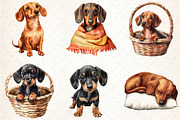 Watercolor Dachshund clipart, an Illustration by Rose Art (Thumbnail 2 of 4)