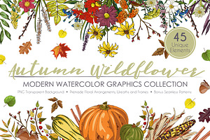 Fall Wildflower Graphic Set