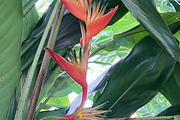 Orange Wellness Bundle, a Health & Medical Photo by Wellness Stock Market (Thumbnail 12 of 20)