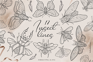 Insects Clipart - Black Line, PNG