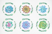 Hand drawn Succulents Clipart, an Illustration by Artemisia_Art (Thumbnail 4 of 6)
