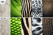 15 ANIMAL Textures, a Texture Graphic by WG DESIGN (Thumbnail 3 of 5)