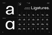 Brome Street | Family Condensed Font, a Sans Serif Font by ClevUs (Thumbnail 11 of 12)