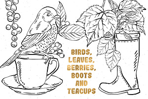 Birds, Leaves, Boots Illustrations