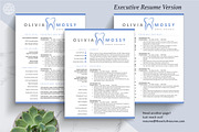 Hygienist Dental Dentist Resume CV, a Resume Template by The Art of Resume (Thumbnail 5 of 8)