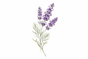 Spring Mother's Day сlipart bundle, an Illustration by VetalStock (Thumbnail 15 of 21)
