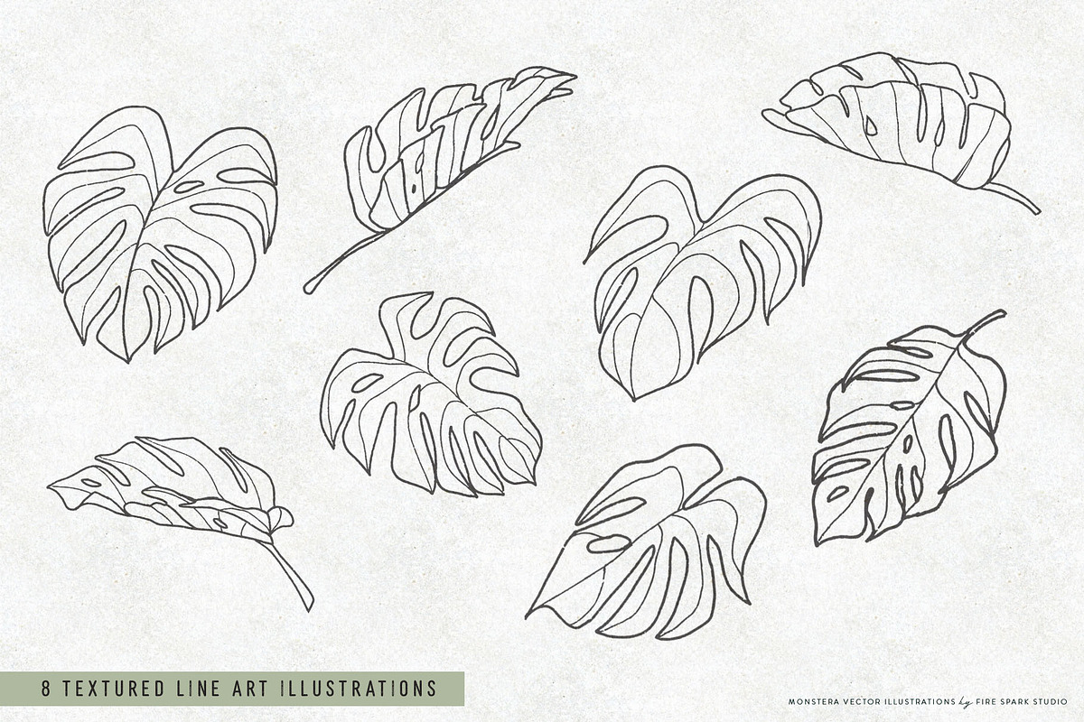 Monstera Leaf Vectors and Patterns, an Object Graphic by Fire Spark Studio (Photo 3 of 6)