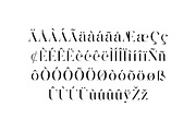 Zamoneva Elegant Serif Display Font, a Serif Font by UICreative (Thumbnail 2 of 13)