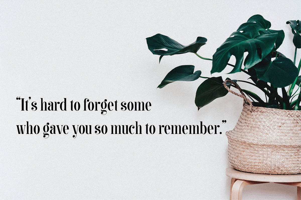Bachon - Elegant Ligature Serif, a Serif Font by Luna Shop (Photo 3 of 8)
