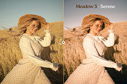 Meadow Lightroom Presets, a Preset Add-On by Presetrain Co. (Thumbnail 4 of 7)