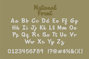 National Forest Font Duo, a Script Font by Rachel Kick (Thumbnail 10 of 12)