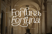 Havenite, a Serif Font by din-studio.com (Thumbnail 14 of 16)