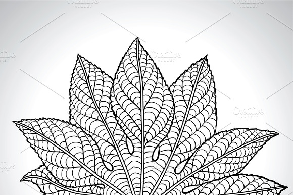 Natural macro leaves. preview 4