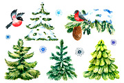 Watercolor Winter Big Set, a Decorative Illustration by Vikeriya (Thumbnail 2 of 6)