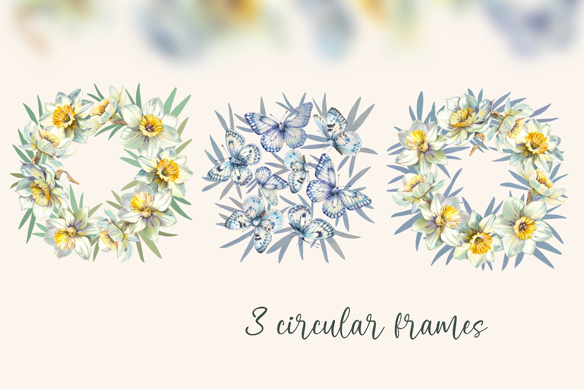 Narcissuses and Butterflies, an Illustration by Shabbypie (Photo 11 of 19)